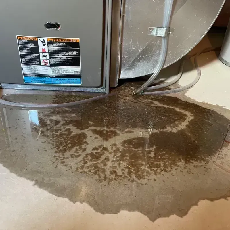 Appliance Leak Cleanup in Bolingbrook, IL